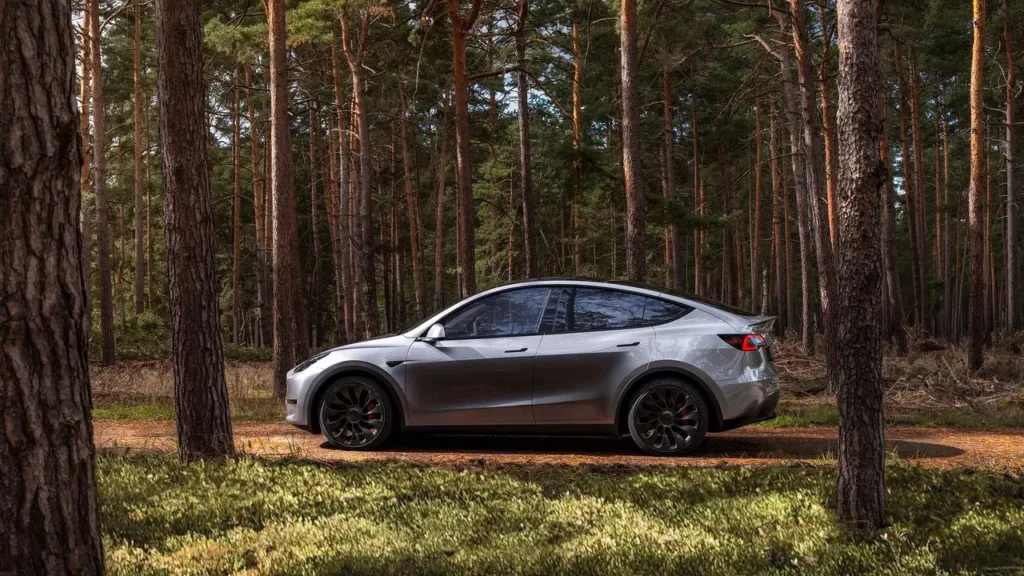 Model Y stands out for range, performance, and Tesla technology.